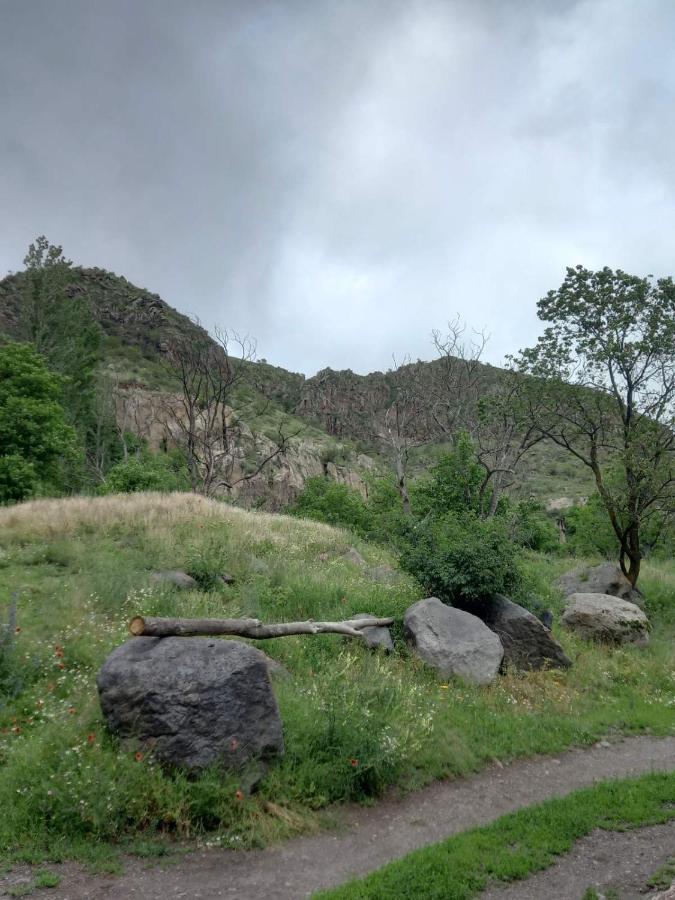 瓦尔齐亚Сhachkari住宿加早餐旅馆 外观 照片
