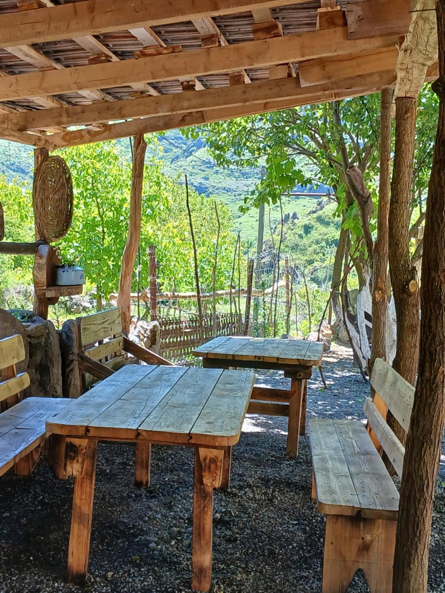 瓦尔齐亚Сhachkari住宿加早餐旅馆 外观 照片