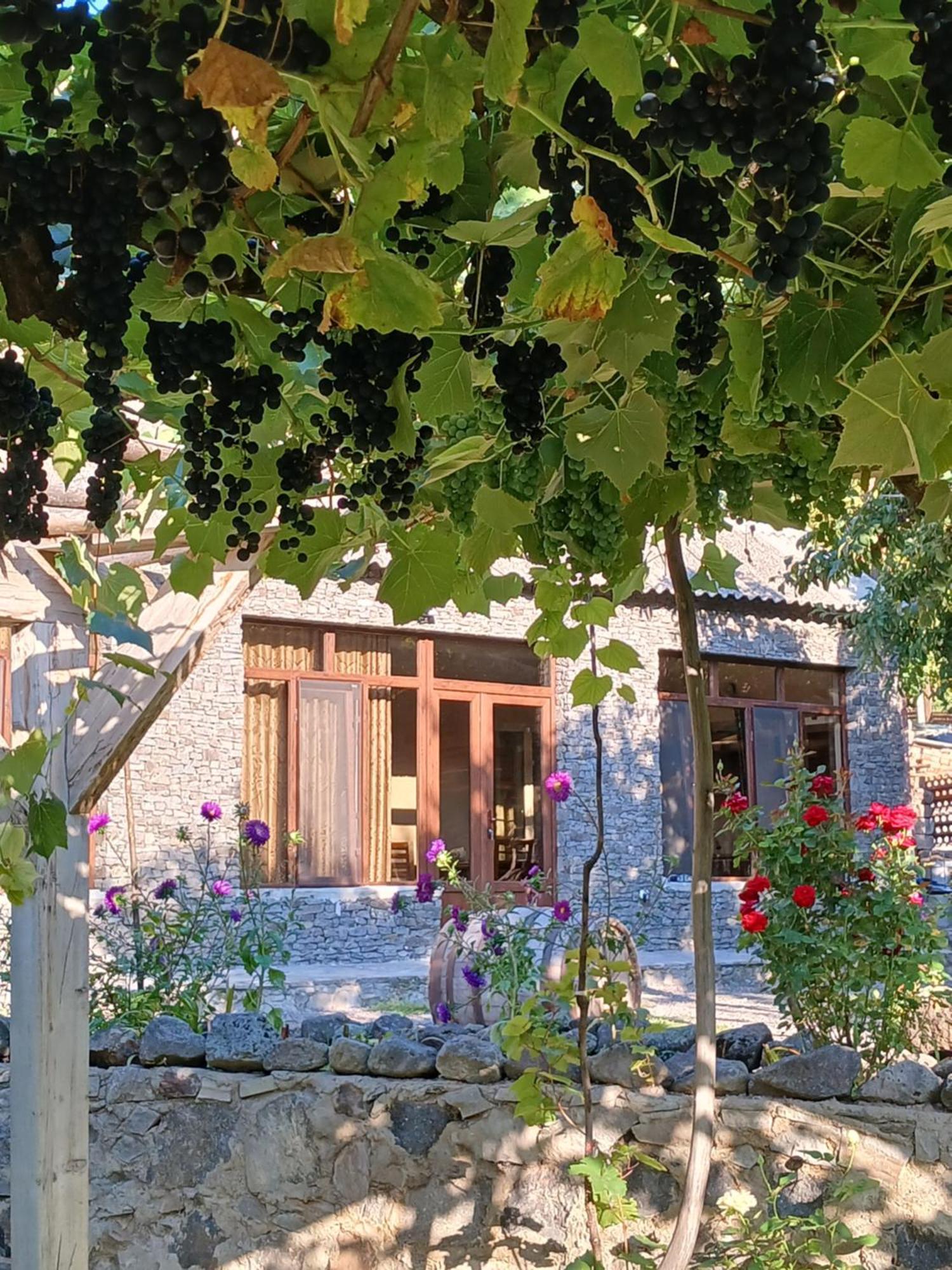 瓦尔齐亚Сhachkari住宿加早餐旅馆 外观 照片